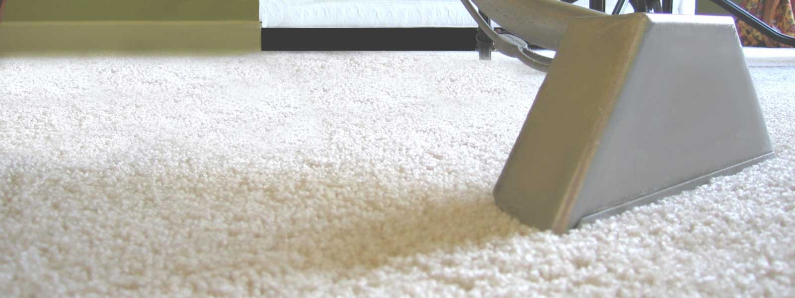 Call The Carpet Cleaning Experts